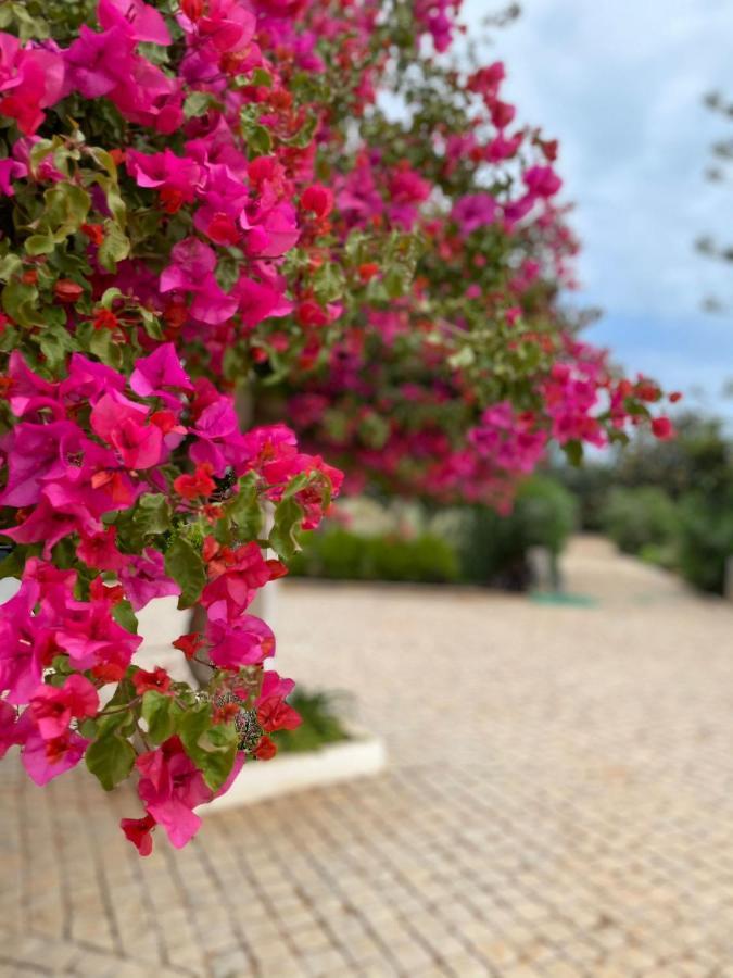 Villa Quinta Vale Caranguejo Tavira Exterior foto